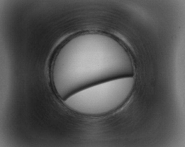 X0000100401022200806060850