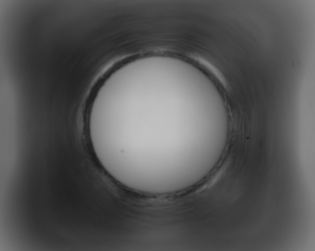 X0000100401023200806060850