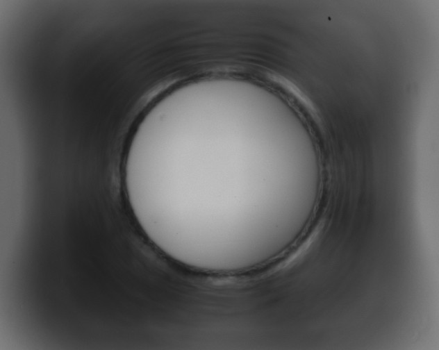 X0000100401025200806060850
