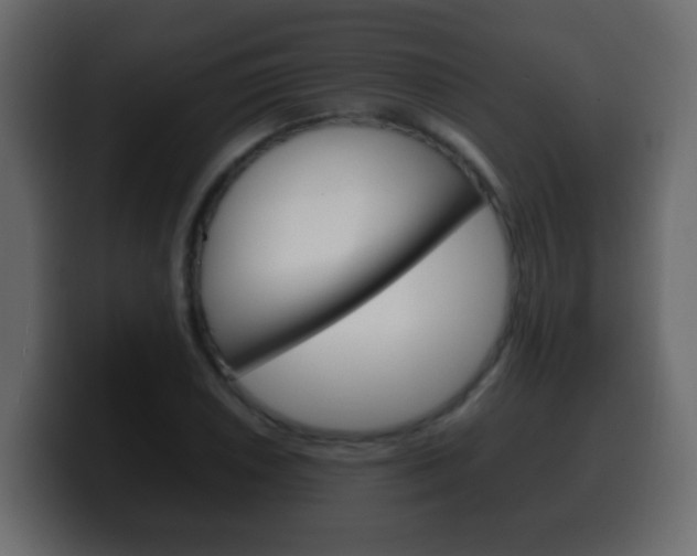 X0000100401026200806060850