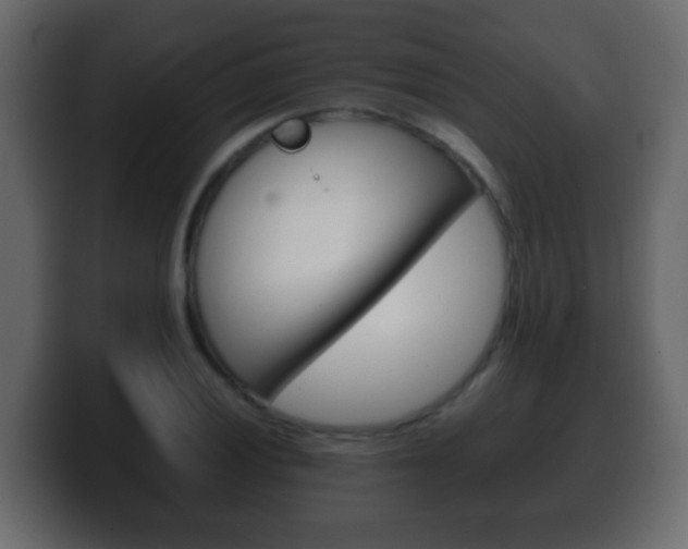 X0000100401028200806060850