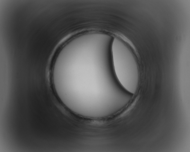 X0000100401029200806060850