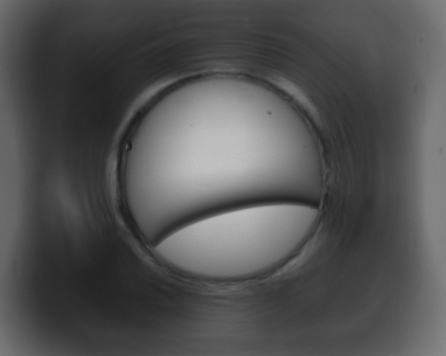X0000100401030200806060850