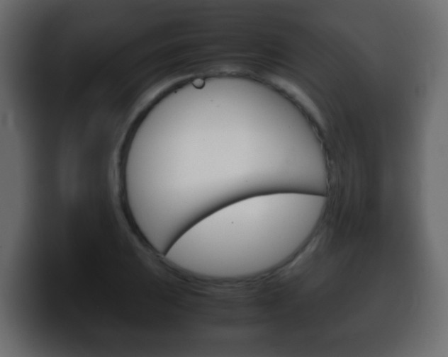 X0000100401031200806060850