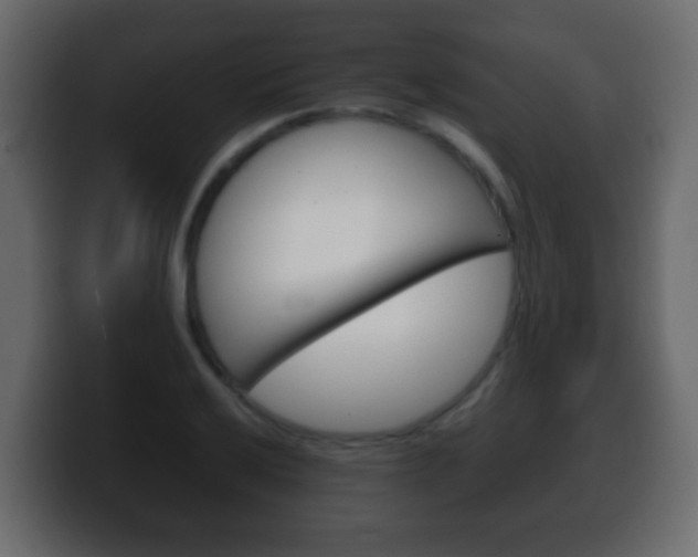 X0000100401032200806060850