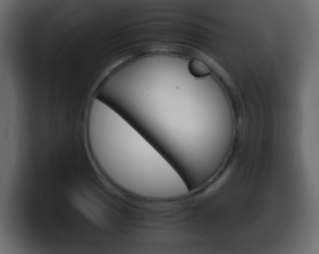 X0000100401033200806060850