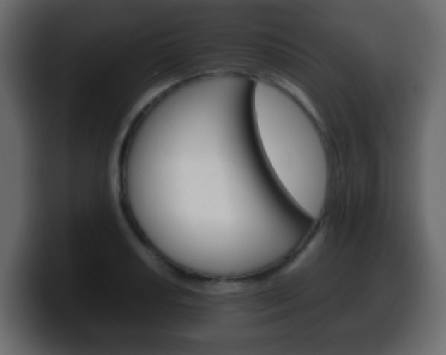 X0000100401034200806060850