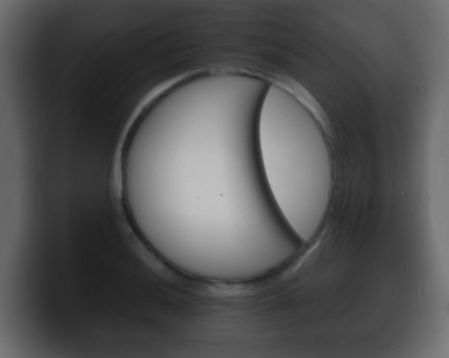 X0000100401036200806060850