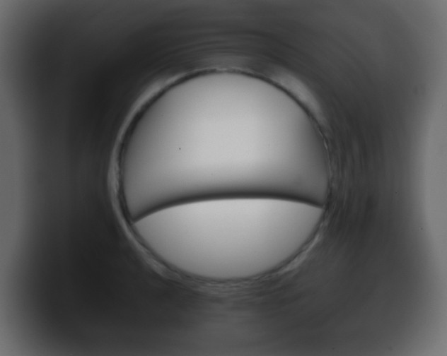 X0000100401040200806060850