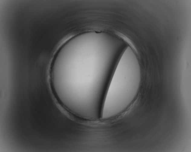 X0000100401042200806060850