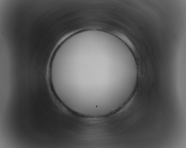 X0000100401044200806060850