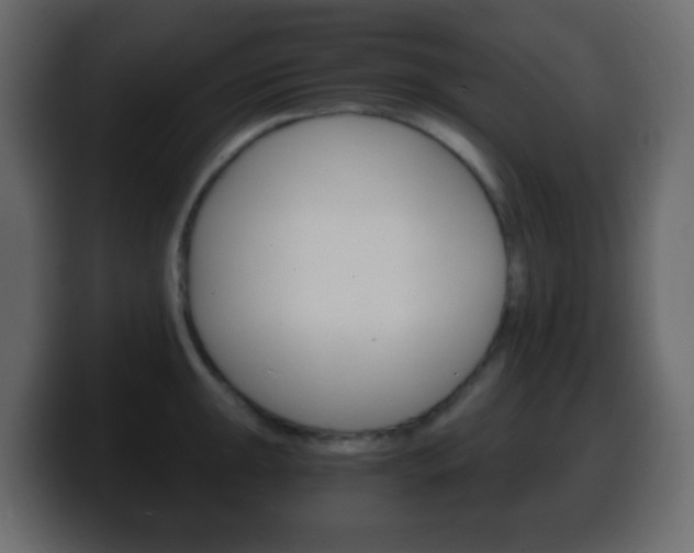 X0000100401047200806060850