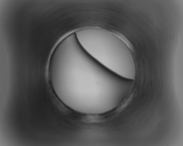 X0000100401052200806060850