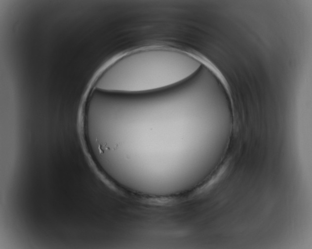 X0000100401053200806060850