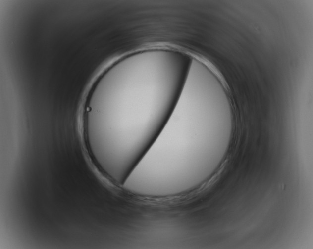 X0000100401054200806060850