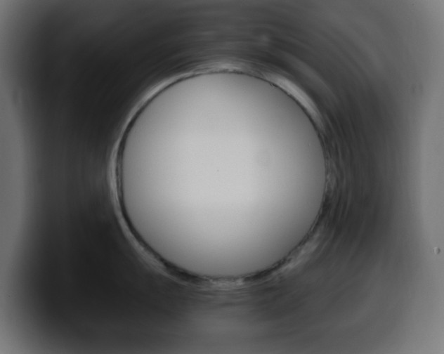 X0000100401055200806060850