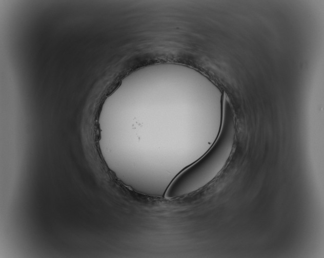 X0000100401057200806060849