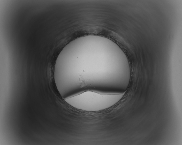 X0000100401058200806060849