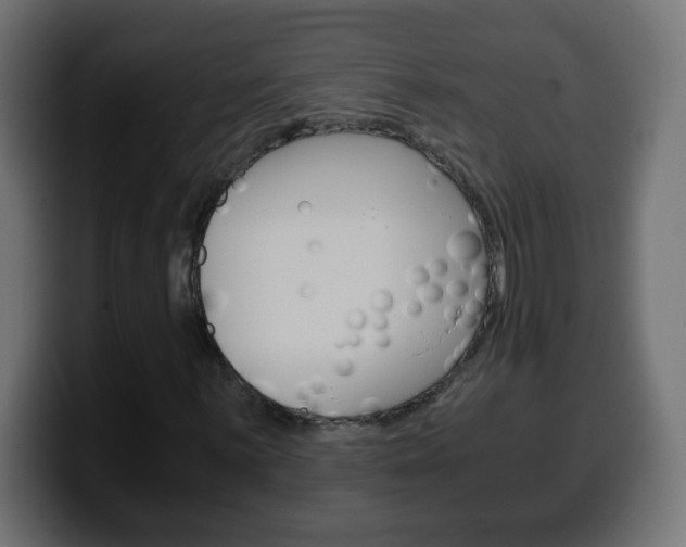 X0000100401059200806060849