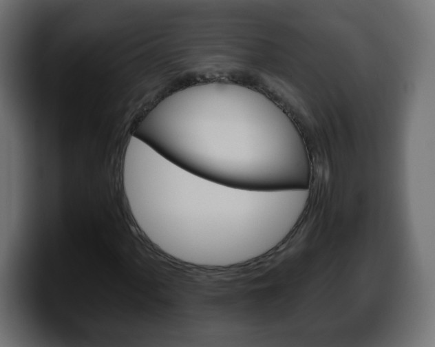 X0000100401060200806060849
