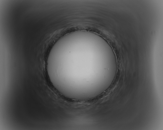 X0000100401061200806060849