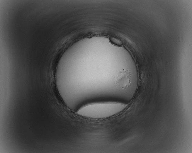 X0000100401062200806060849