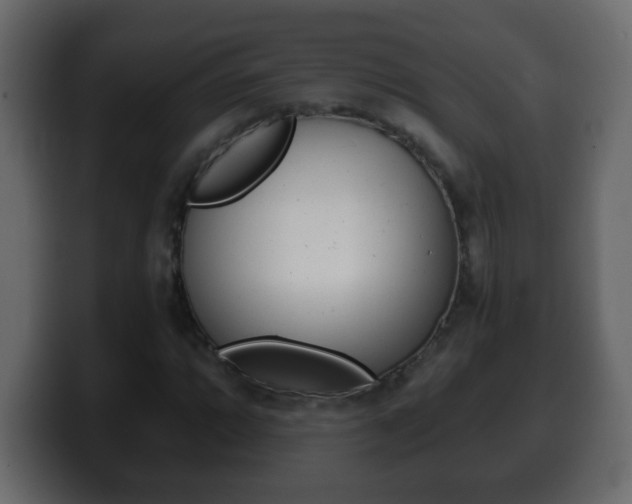 X0000100401064200806060849