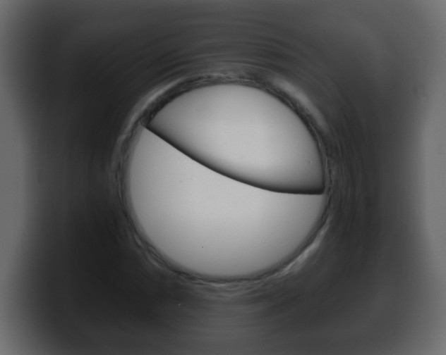 X0000100401066200806060849