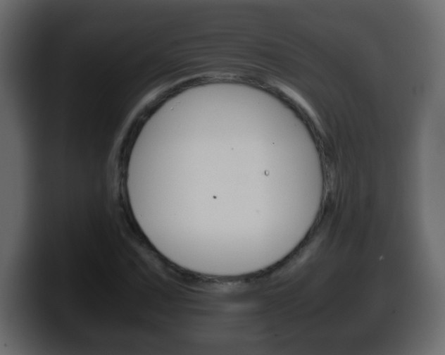 X0000100401067200806060849