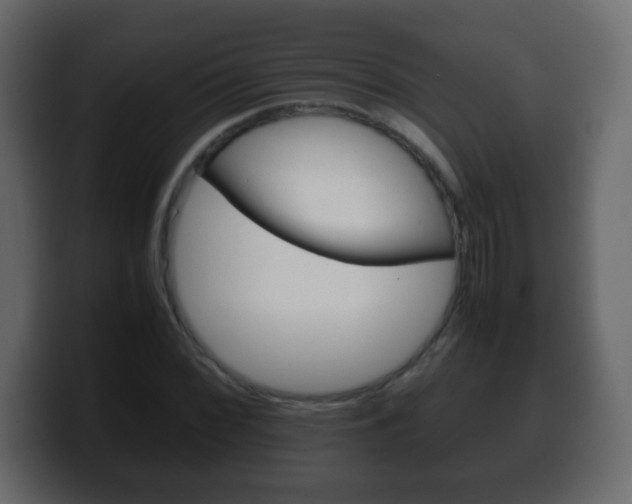 X0000100401068200806060849