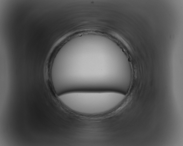 X0000100401069200806060849