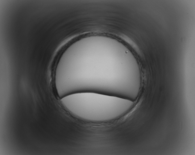 X0000100401070200806060849