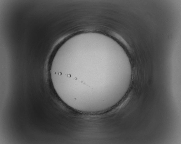 X0000100401071200806060849