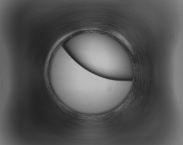X0000100401072200806060849