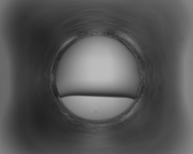X0000100401073200806060849
