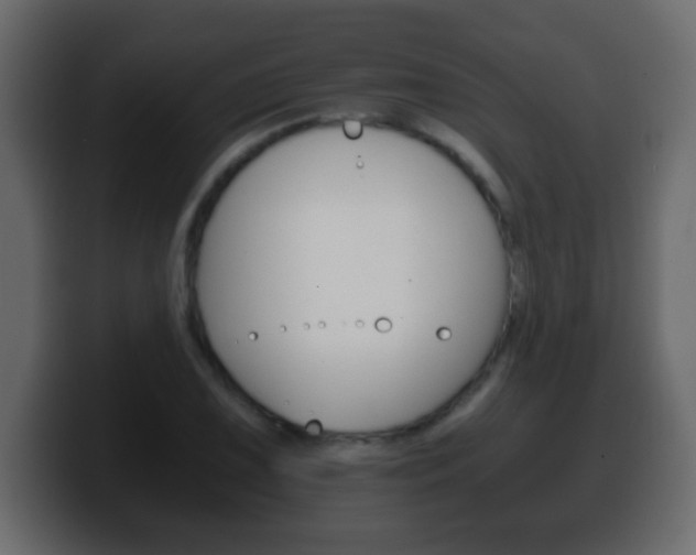 X0000100401075200806060849