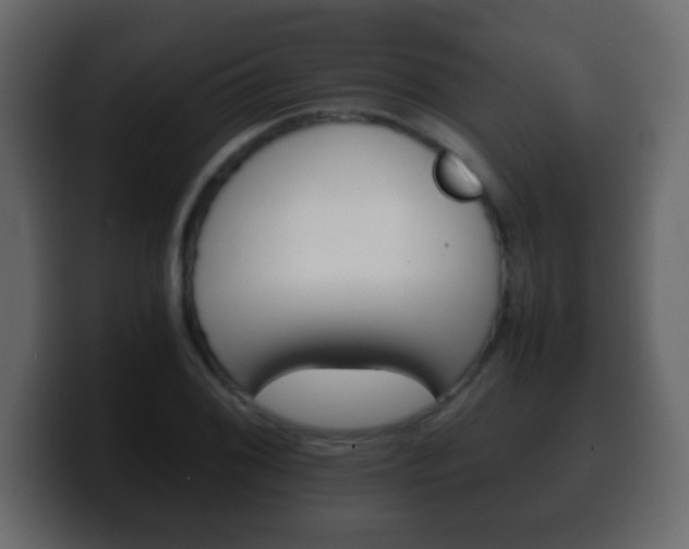 X0000100401076200806060849
