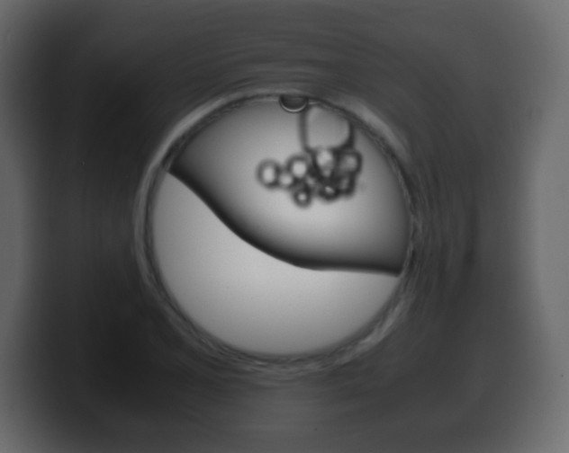 X0000100401077200806060849