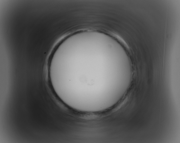 X0000100401079200806060849