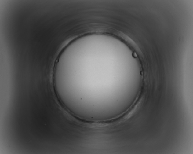 X0000100401081200806060849