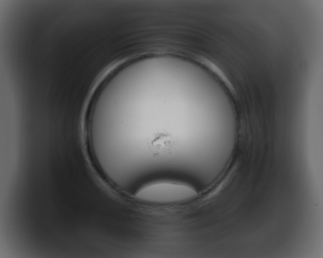 X0000100401082200806060849