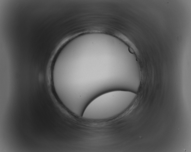 X0000100401083200806060849