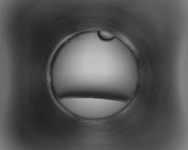 X0000100401084200806060849