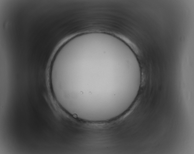 X0000100401086200806060849