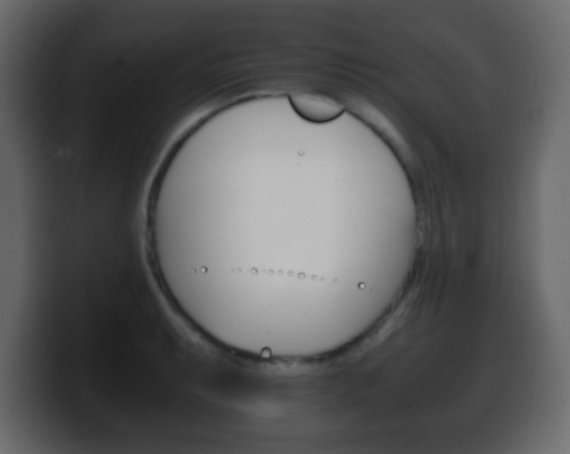 X0000100401087200806060849