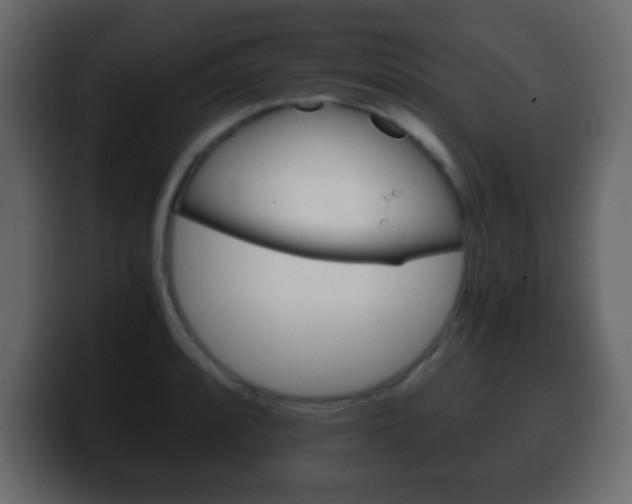 X0000100401088200806060849