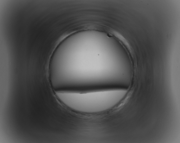 X0000100401089200806060849