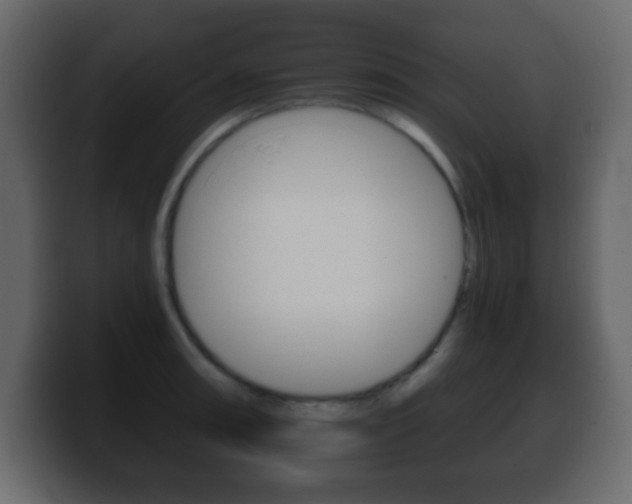 X0000100401090200806060849