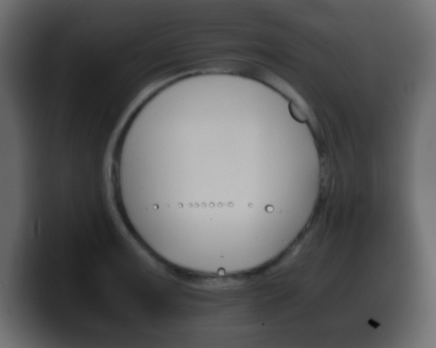 X0000100401091200806060849