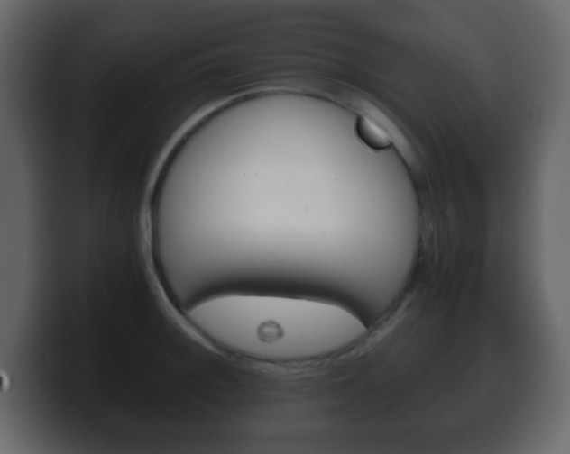 X0000100401092200806060849